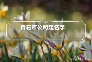 黄石市公司起名字