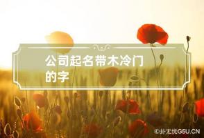 公司起名带木冷门的字