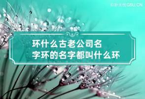 环什么古老公司名字 环的名字都叫什么环了