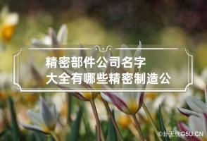 精密部件公司名字大全有哪些 精密制造公司名称