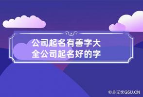 公司起名有善字大全 公司起名好的字