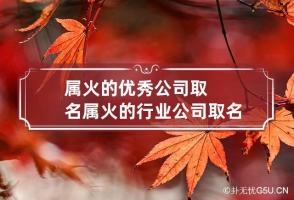 属火的优秀公司取名 属火的行业公司取名