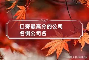 口旁最高分的公司名 侧公司名