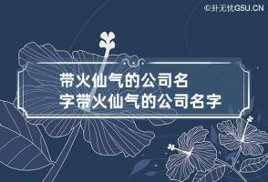 带火仙气的公司名字 带火仙气的公司名字