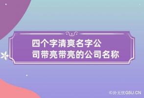 四个字清爽名字公司带亮 带亮的公司名称