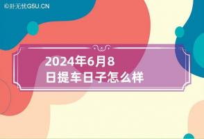 2024年6月8日提车日子怎么样