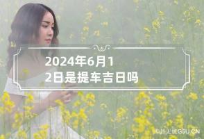 2024年6月12日是提车吉日吗