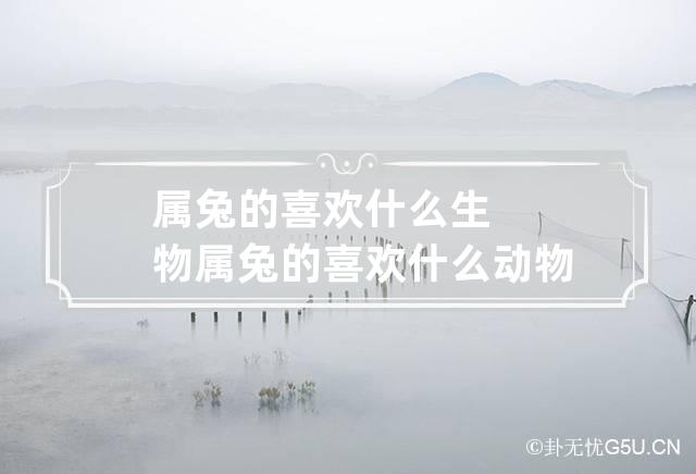 属兔的喜欢什么生物 属兔的喜欢什么动物