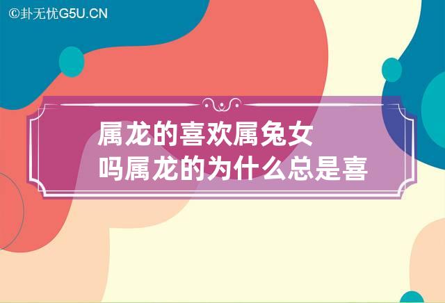 属龙的喜欢属兔女吗 属龙的为什么总是喜欢属兔的