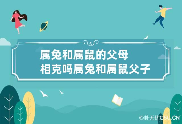 属兔和属鼠的父母相克吗 属兔和属鼠父子关系相克吗