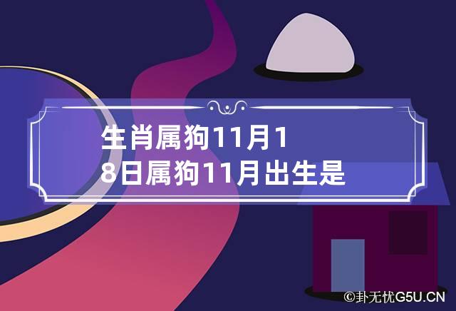 生肖属狗11月18日 属狗11月出生是什么命农历