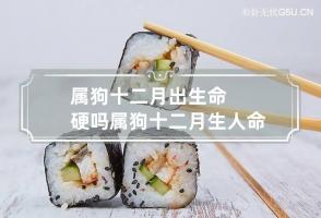 属狗十二月出生命硬吗 属狗十二月生人命好不好