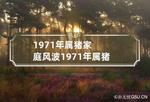 1971年属猪家庭风波 1971年属猪人三大坎