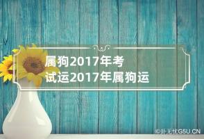 b型血女人的性格特点 B型血女生性格解析