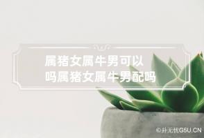 b型血女人的性格特点 B型血女生性格解析