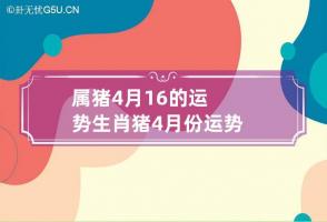 b型血女人的性格特点 B型血女生性格解析