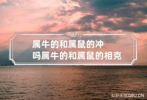 b型血女人的性格特点 B型血女生性格解析