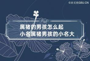 b型血女人的性格特点 B型血女生性格解析