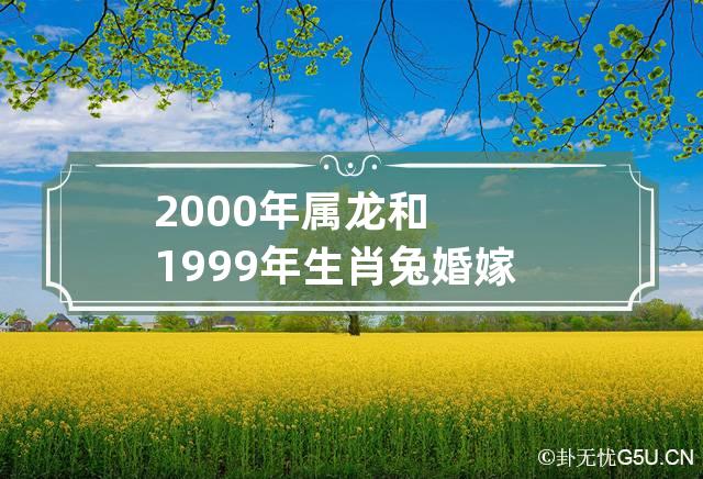 2000年属龙和1999年生肖兔婚嫁配吗 2000年属龙的和1999年属兔对属相吗