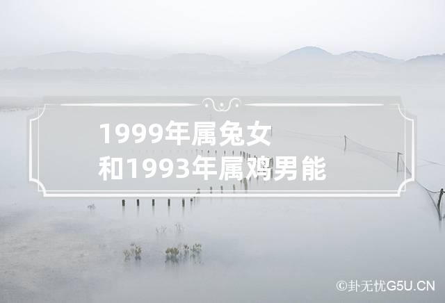 1999年属兔女和1993年属鸡男能成家吗 1999年属兔和1993年属鸡的配吗