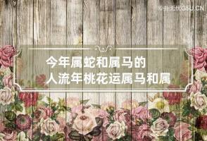 今年属蛇和属马的人流年桃花运 属马和属蛇2022什么时候结婚