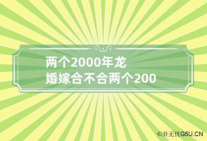 两个2000年龙婚嫁合不合 两个2000年的属龙人结婚好不好