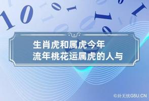 生肖虎和属虎今年流年桃花运 属虎的人与属虎的人结婚好吗