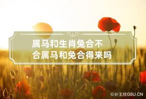 属马和生肖兔合不合 属马和兔合得来吗