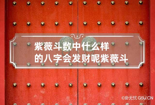 紫薇斗数中什么样的八字会发财呢 紫薇斗数与八字的侧重点