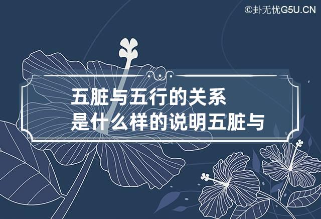 五脏与五行的关系是什么样的 说明五脏与五行的所属关系