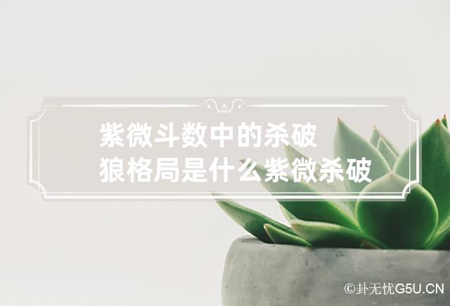 紫微斗数中的杀破狼格局是什么 紫微杀破狼系优缺点