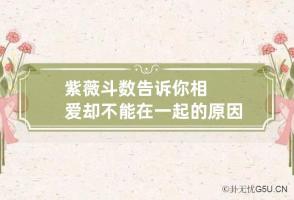 b型血女人的性格特点 B型血女生性格解析