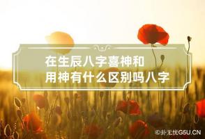 在生辰八字喜神和用神有什么区别吗 八字与喜用神