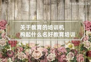 关于教育的培训机构起什么名好 教育培训机构的名字大全