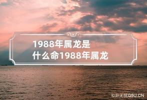 1988年属龙是什么命 1988年属龙是什么命五行属什么属性