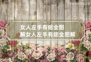 女人左手有痣全图解 女人左手有痣全图解 手背