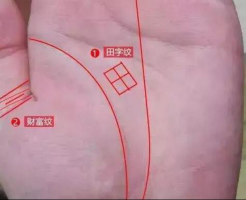 b型血女人的性格特点 B型血女生性格解析