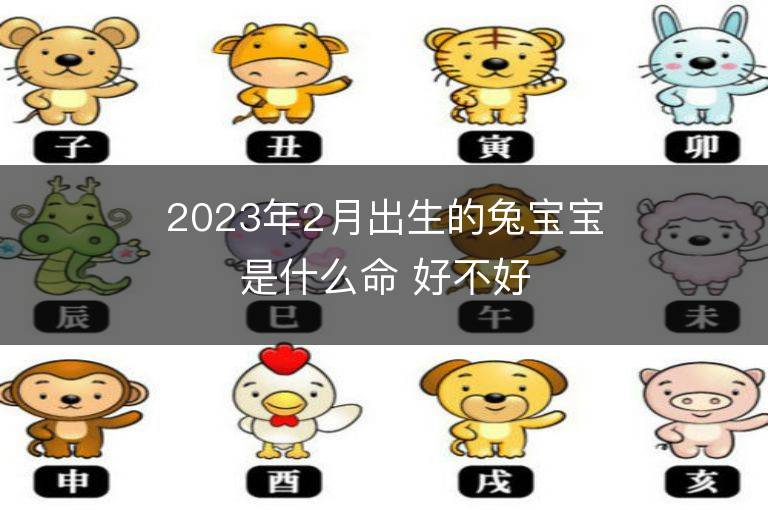 2023年6月出生的宝宝是什么命 兔宝宝命运好不好