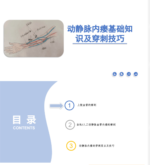 动静脉内瘘血管解剖及穿刺技巧 [共36页]-医护资料网