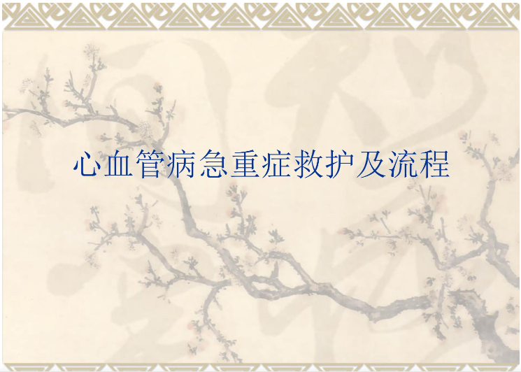 常见心血管急重症及处理【27页】-医护资料网